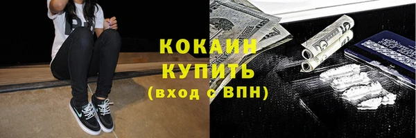 стафф Аркадак