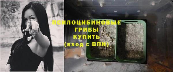 стафф Аркадак