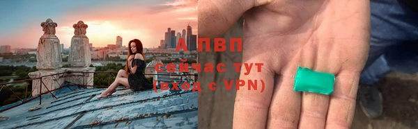 стафф Аркадак