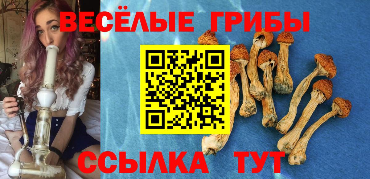Галлюциногенные грибы мухоморы Ипатово