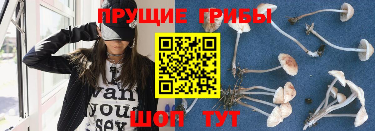 Галлюциногенные грибы MAGIC MUSHROOMS  Ипатово 