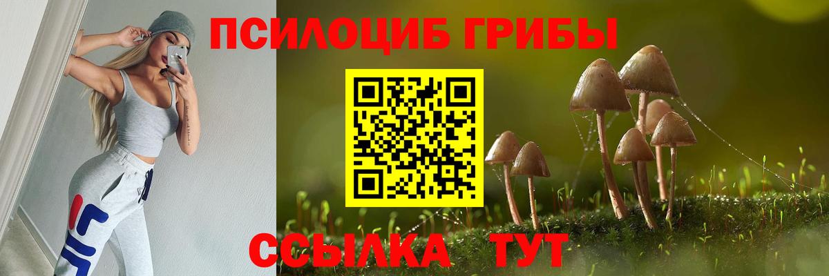 Галлюциногенные грибы Cubensis  Вход с VPN  Ипатово 